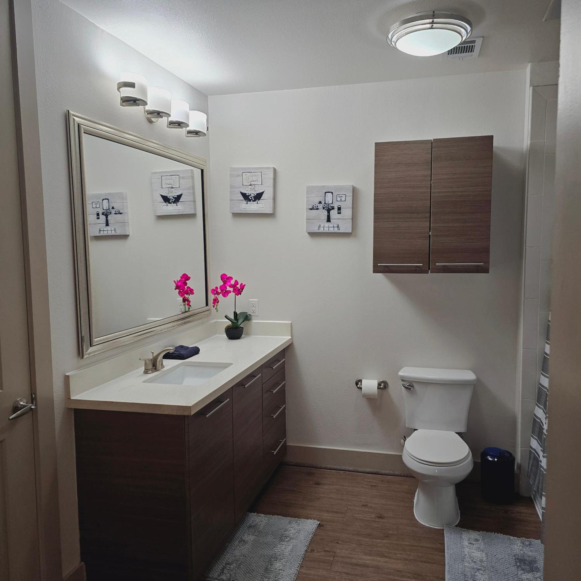 Apartamento Midtown Downtown Breeze Houston Exterior foto